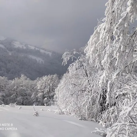 Sadyba Gostynniy Dvir Guest house