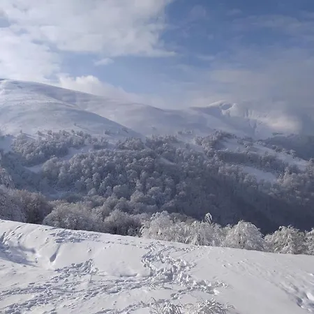 Sadyba Gostynniy Dvir *