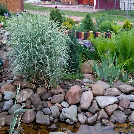 Sadyba Gostynniy Dvir Izki